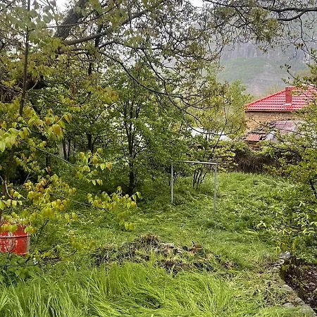 Bitro House Pogradec